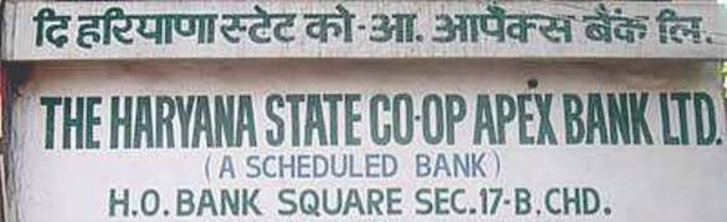 Harco Bank organizes cleanliness drive on the occasion of Cooperative Week